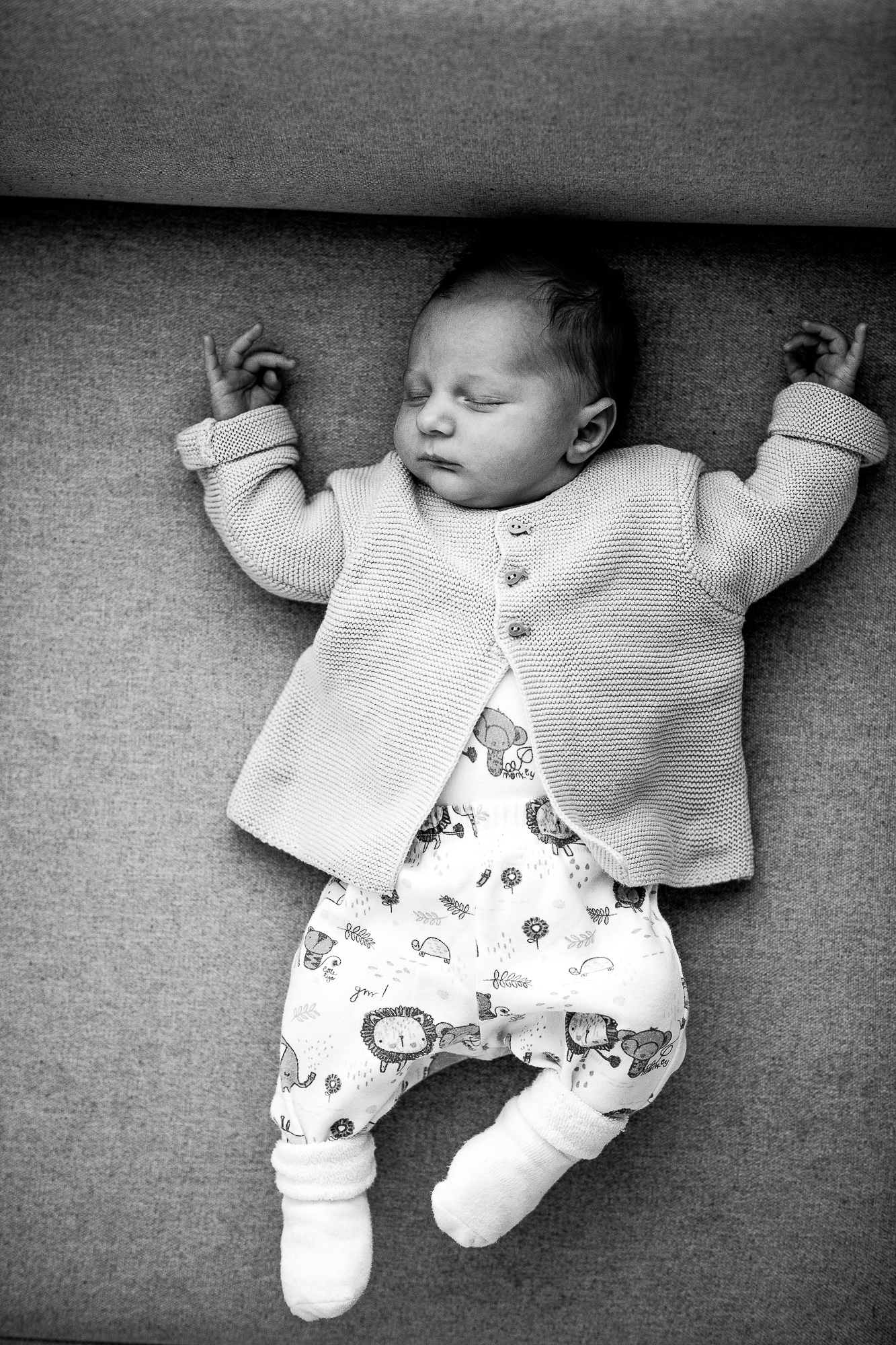 Export x3 1DX28371 Bearbeitet Familienfotoshooting 2019 Hefti 2